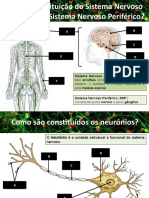 Neurónios_impulsonervoso (1)