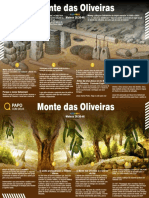 Monte das Oliveiras - Local de Oração e Profecia de Jesus