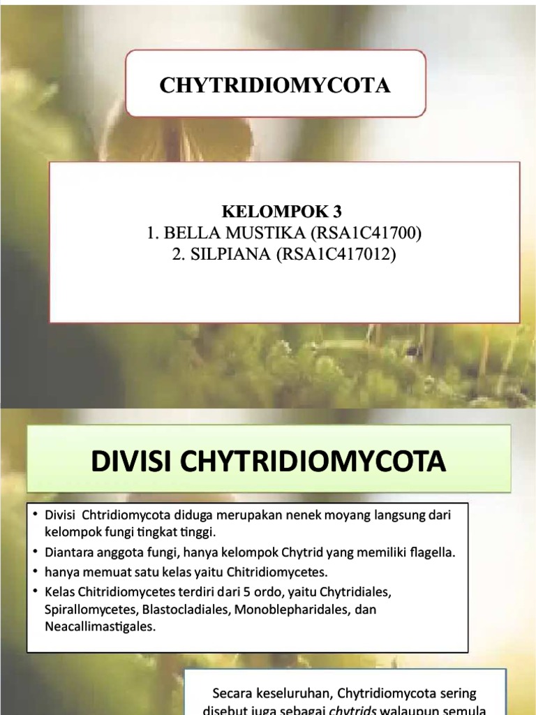 Encrypted Document Analysis | PDF | Science & Mathematics