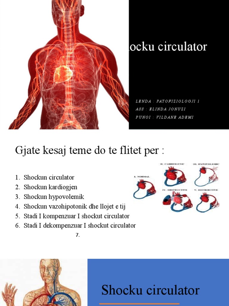 Shocku Circulator VA | PDF