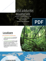 Mediul Pădurilor Ecuatoriale
