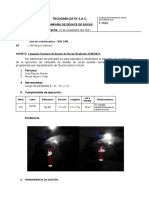 Informe de Desate de Rocas Tecnomin 14-11-21 Car