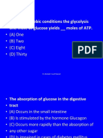 (Bio3lec3) TCA Cycle