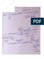 TUASON-Glycolysis Draft 1