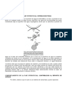 Comportamiento de La Fase Intersticial: Interaccion Fisica