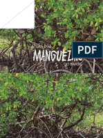Atlas Dos Manguezais No Brasil