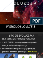 4 - Evolucija - 2021