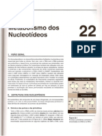 Capítulo - Metabolismo de Nucleotídeos - Pamela Champe
