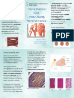 Anatomia Pliant Catalin