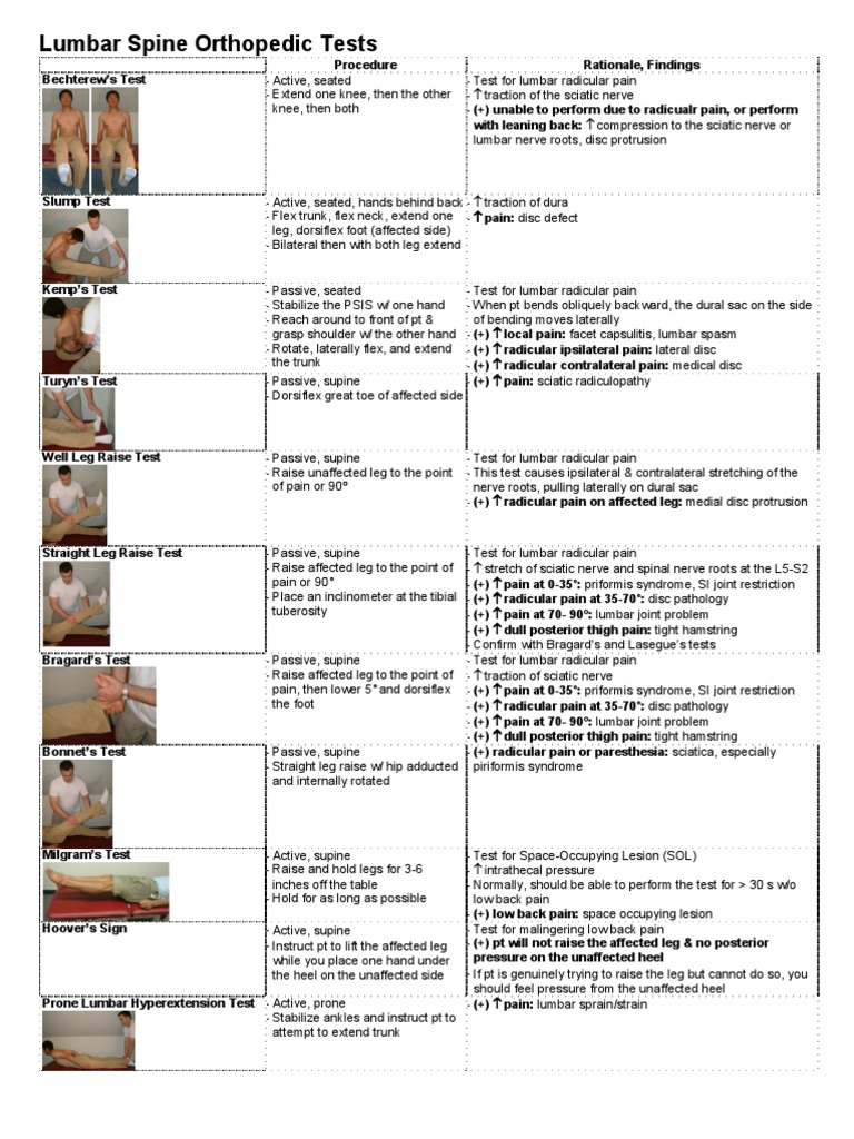 Lumbar Spine Ortho Tests Anatomical Terms Of Motion Knee