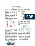 Diversidade Biológica e Organização Celular