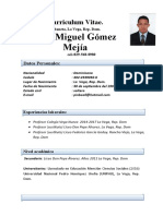 Curriculum Luis Miguel G