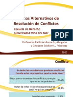 Sarc Dimensiones Del Conflicto