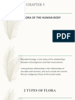 Normal Flora of The Human Body