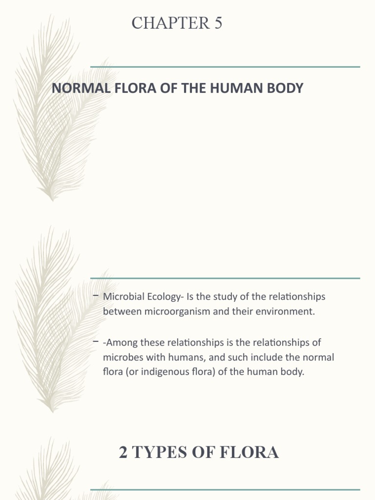 Types of Normal Flora in Humans | PDF | Lactobacillus | Skin