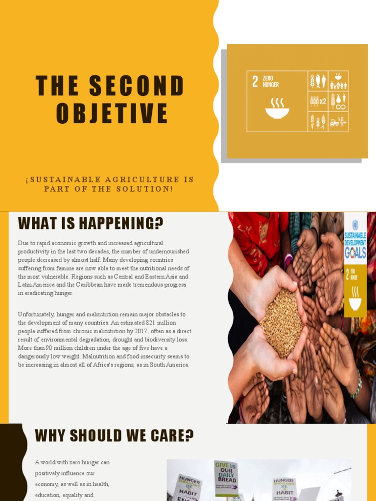 Sustainable Agriculture and Zero Hunger | PDF | Malnutrition | Hunger