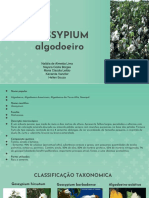 Apresentaçao Gossypium