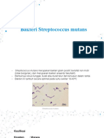 Streptococcus Mutans