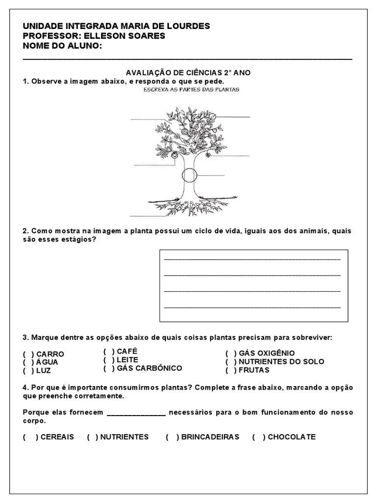 Avaliação de Ciências: Plantas 2º Ano | PDF