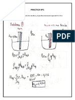 Practica Nº1