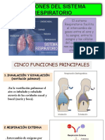 Sistema Respiratorio