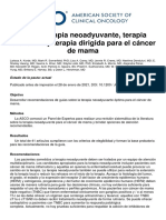 Quimioterapia Neoadyuvante Terapia Endocrina y Terapia Dirigida para El Cancer de Mama