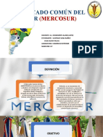 Mercado Común Del Sur (MERCOSUR)