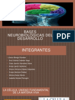 Diapositiva de Bases Neurobiológicas Del Desarrollo