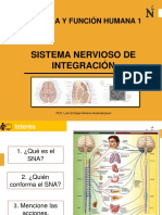 Sistema Nervioso de Integración: Estructura Y Función Humana 1