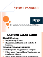 pANGGUL Dan Siklus Hormonal