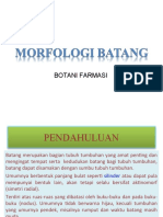 Morfologi Batang & Akar