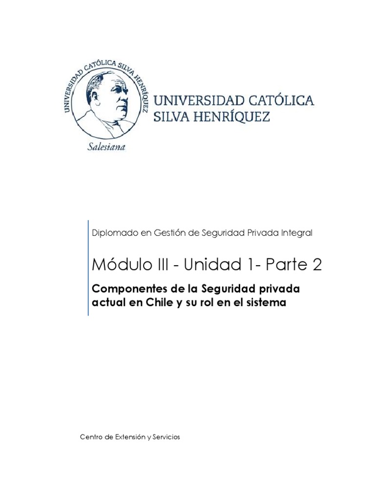 Componentes de la Seguridad Privada en Chile | PDF | Policía | Valores