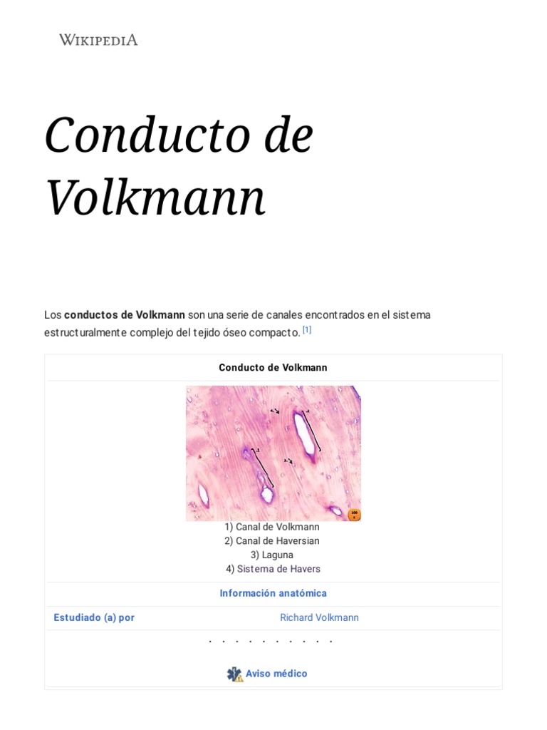 Conducto de Volkmann Wikipedia, La Enciclopedia Libre PDF