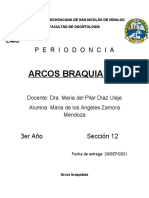 Arcos braquiales y formación facial