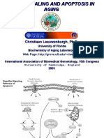 Cell Signaling, Apoptosis, and the Effects of Aging and Calorie Restriction