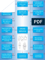 Constantes Morfológica