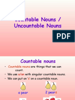 P2CountableNouns and UncountableNouns