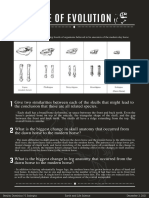 Module 10 Evolution