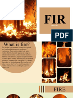 FIR E: What Is Fire?