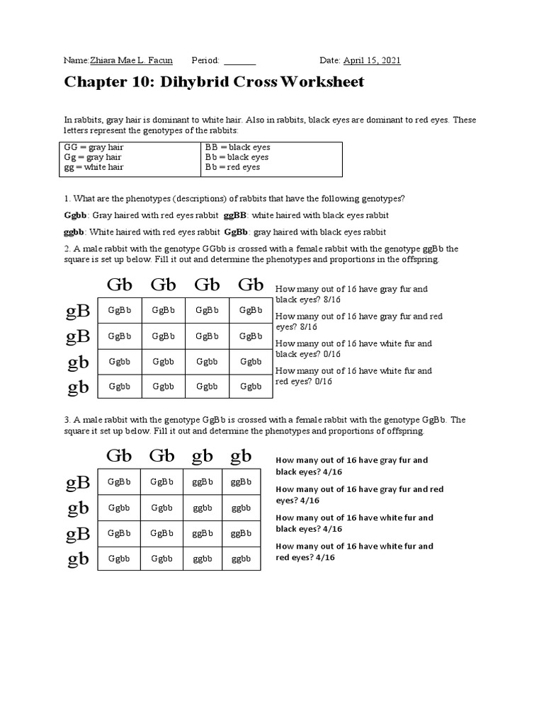 GBGBGBGB GB GB GB GB: Chapter 10: Dihybrid Cross Worksheet | PDF | Genotype  | Biology