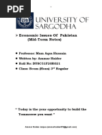 Economic Issues of Pakistan (Notes)