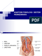 Anatomi Fisiologi Sistem Perkemihan