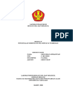 Bio Sel Dan Molekul_modul 4