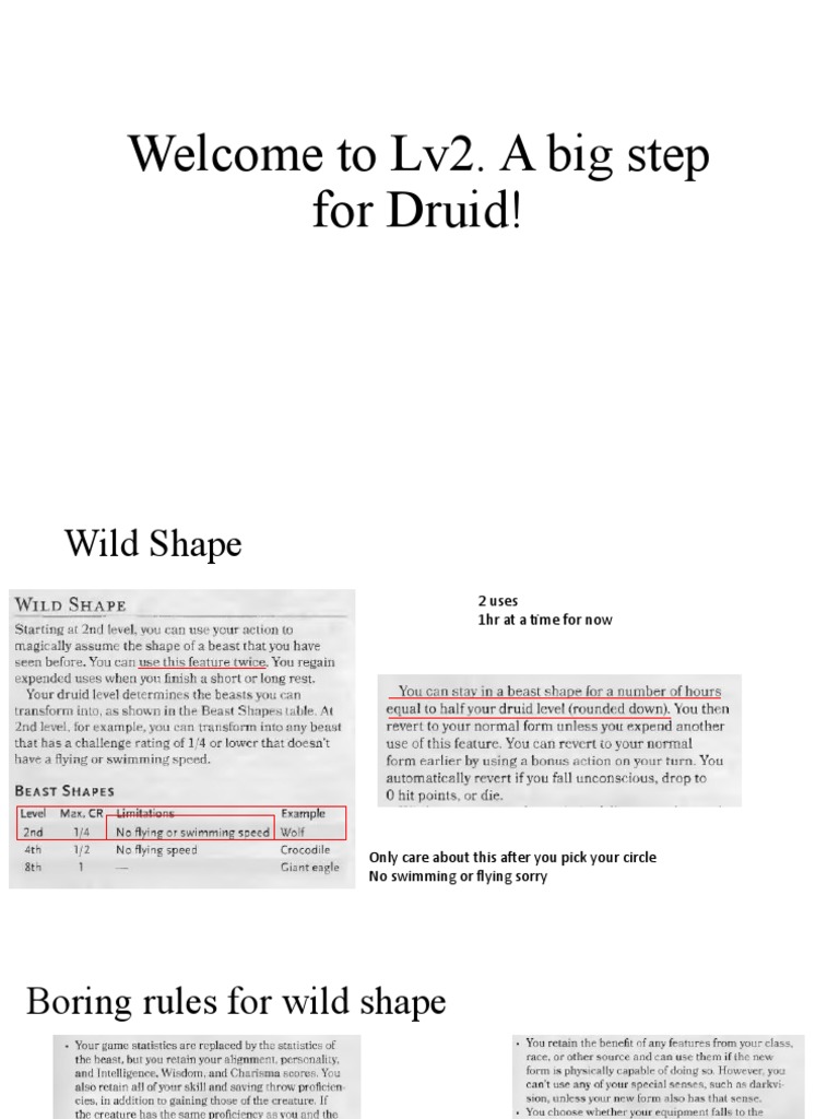 Welcome To Lv2. A Big Step For Druid! | PDF