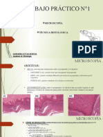 1 - Microscopia y Tecnica