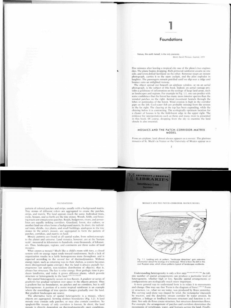 Forman - Land Mosaics - Foundation | PDF