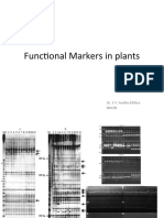 Functional Markers in Plants