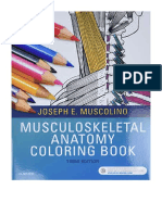 Musculoskeletal Anatomy Coloring Book - Joseph E. Muscolino