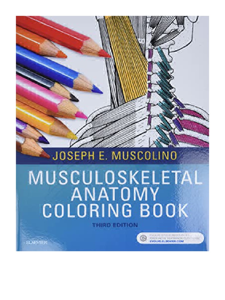 Musculoskeletal Anatomy Coloring Book - Joseph E. Muscolino | PDF