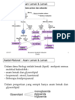 ASAM LEMAK DAN METABOLISME